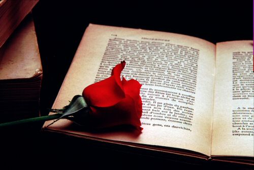 True Romance Perhaps by Fabrice Poussin