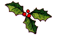 a sprig of holly