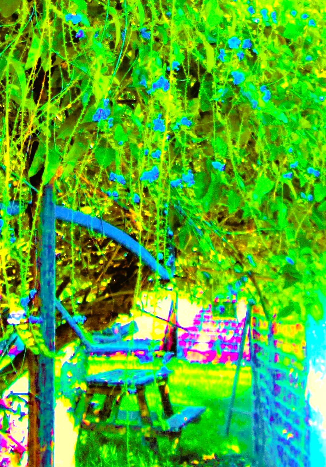 Future Picnic by KJ Hannah Greenberg